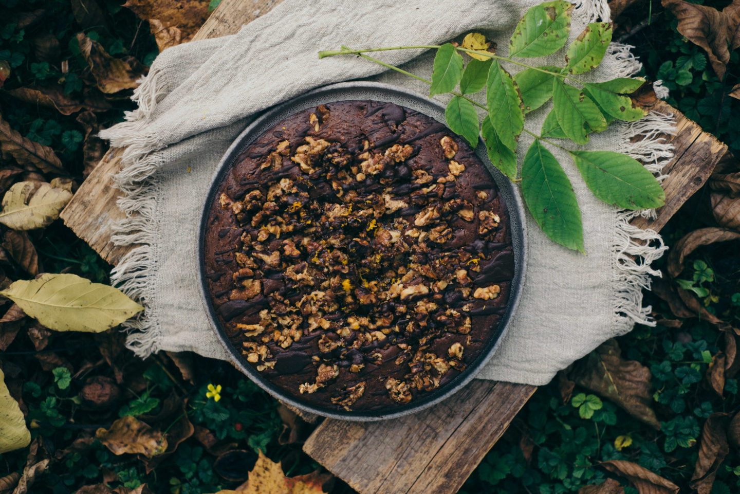 Kürbis-Schokokuchen mit Karamellisierten Walnüssen - Wilde Gartenküche